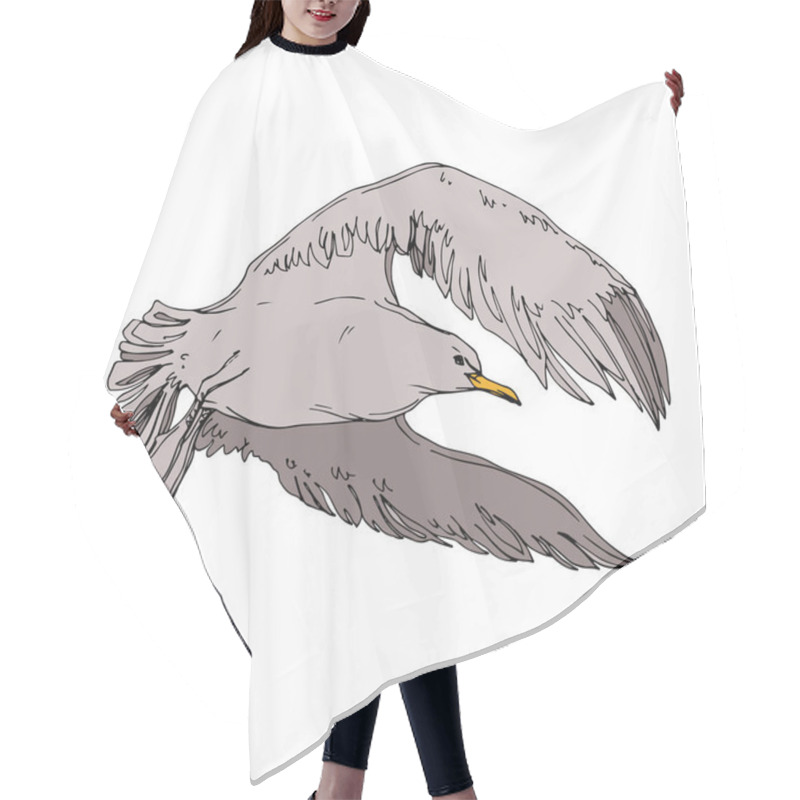 Personality  Vector Sky bird seagull in a wildlife. Black and white engraved ink art. Isolated seagull illustration element. hair cutting cape