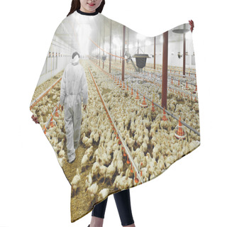 Personality  Poultry Farm And A Veterinary Hair Cutting Cape
