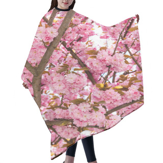Personality  Branches Of Blossoming Pink Flowers On Cherry Tree Hair Cutting Cape