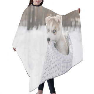 Personality  Puppy Hair Cutting Cape