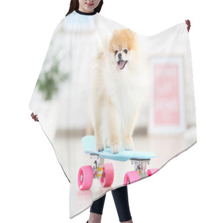 Personality  Pomeranian Dog With Skateboard At Home Hair Cutting Cape
