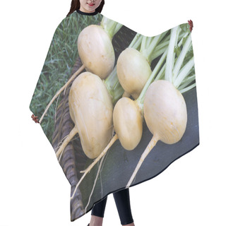 Personality  Turnips Lying In A Basket Hair Cutting Cape