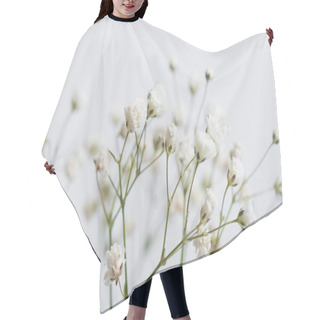 Personality  Close Up Of Branches With Blooming Flowers On White Background Hair Cutting Cape