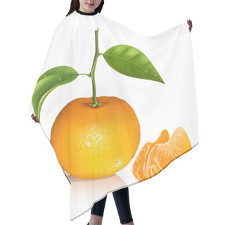 Personality  Fresh Tangerine Fruits With Green Leaves. Hair Cutting Cape