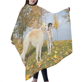 Personality  Two Russian Wolfhounds Hair Cutting Cape