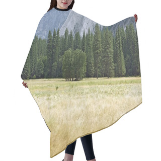 Personality  Yosemite Valley Meadow Hair Cutting Cape