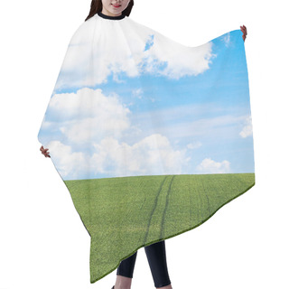 Personality  Green Cereal Field Under Blue Sky In Picardy Hair Cutting Cape