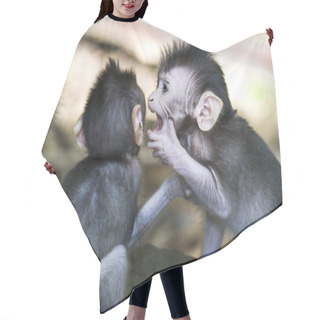 Personality  Monkey From Bali Whispering Hair Cutting Cape