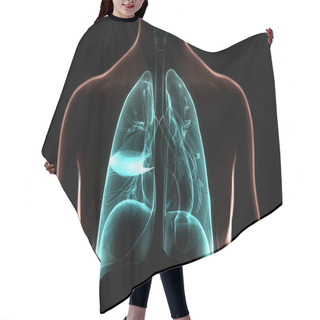 Personality  Human Respiratory System Lungs Anatomy. 3D Hair Cutting Cape