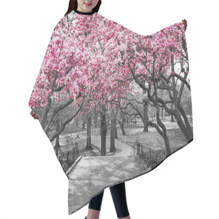 Personality  New York City - Pink Blossoms In Black And White Hair Cutting Cape
