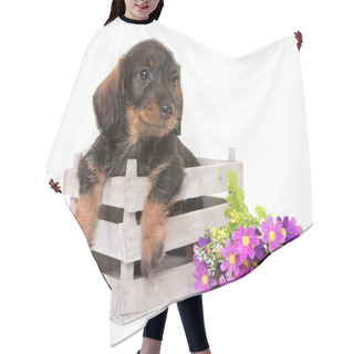 Personality  Puppy Wire-haired Dachshund Hair Cutting Cape