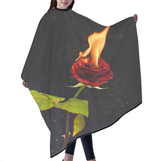 Personality  Fresh Red Rose Flower Blazing With Hot Flame And Sparks Dark Background, Burning Hair Cutting Cape