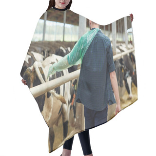 Personality  Farmer In Veterinary Glove With Cows On Dairy Farm Hair Cutting Cape