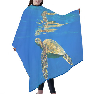 Personality  Sea Turtle Underwater Hair Cutting Cape