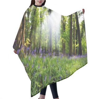 Personality  A Wood Full Of Bluebells Hair Cutting Cape