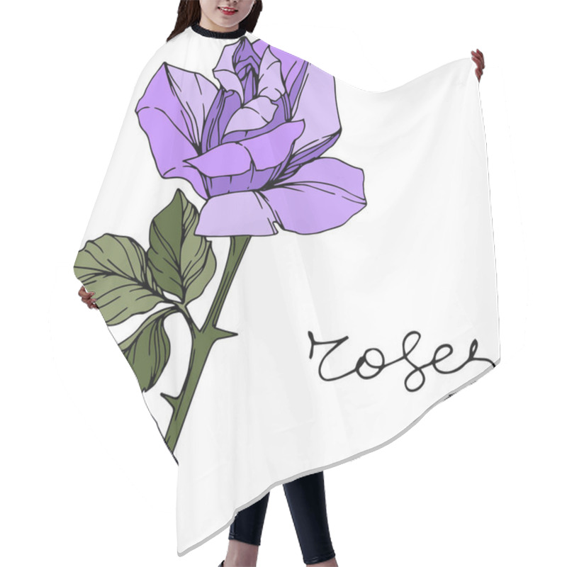 Personality  Vector Rose. Floral Botanical Flower. Purple Color Engraved Ink Art. Isolated Rose Illustration Element. Hair Cutting Cape