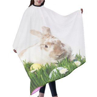 Personality  Rabbit On Grass With Camomiles And Painted Eggs, Easter Concept Hair Cutting Cape