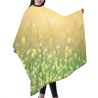 Personality  Beautiful Yellow Wildflowers In The Green Grass. Hair Cutting Cape