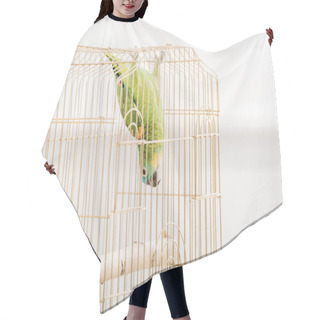 Personality  Funny Green Amazon Parrot Hanging Head Down In Bird Cage Hair Cutting Cape