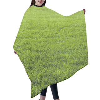 Personality  Background With Green Grass Hair Cutting Cape