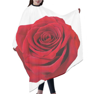 Personality  Red Rose Flower Head On White Background Hair Cutting Cape
