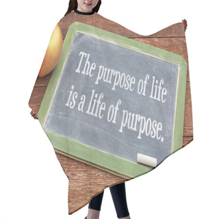 Personality  The Purpose Of Life Concept Hair Cutting Cape