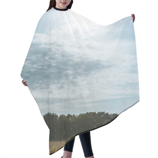 Personality  Autumnal Field, Forest And Blue Cloudy Sky With Sunlight Hair Cutting Cape
