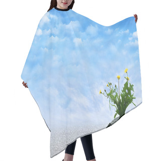 Personality  Inspirational Presentation Hair Cutting Cape