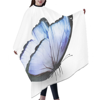 Personality  Blue Butterfly , Isolated On White Hair Cutting Cape