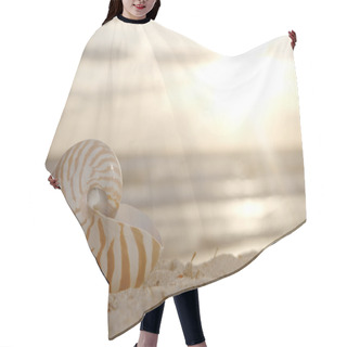 Personality  Nautilus Shell On Beach , Golden Sunrise Over Tropical Sea Hair Cutting Cape