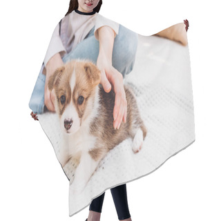 Personality  Partial View Of Young Girl Sitting On White Blanket Outdoors With Cute Fluffy Puppy Hair Cutting Cape