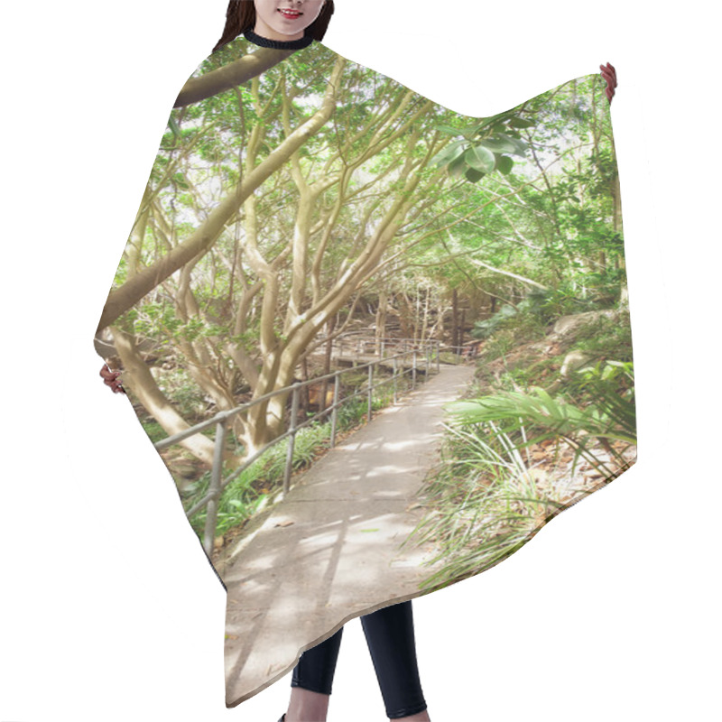 Personality  Walking Path Through A Wooded Forest Hair Cutting Cape