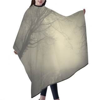 Personality  Road Trough A Dark Mysterious Forest With Fog Hair Cutting Cape