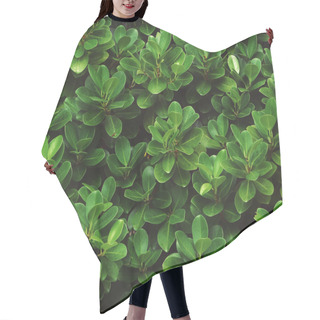 Personality  Fresh Green Leaves Hair Cutting Cape