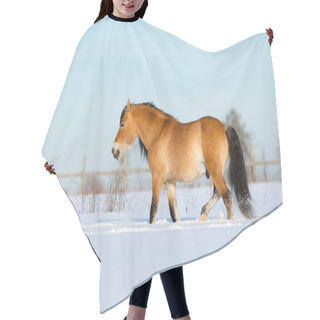 Personality  Horse In Wintertime Hair Cutting Cape