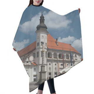 Personality  Castle Of Maribor Hair Cutting Cape