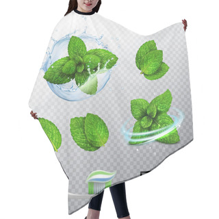 Personality  3D Realistic Vector Set, Transparent Splash Of Water With A Mint Sprout, Various Options For Mint Leaves, A Fresh Whirlwind, A Toothbrush With A Paste Hair Cutting Cape