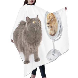 Personality  Cat Looking Into Mirror And Seeing Lion Hair Cutting Cape