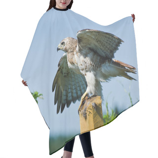 Personality  Red-Tailed Hawk Taking To Flight Hair Cutting Cape