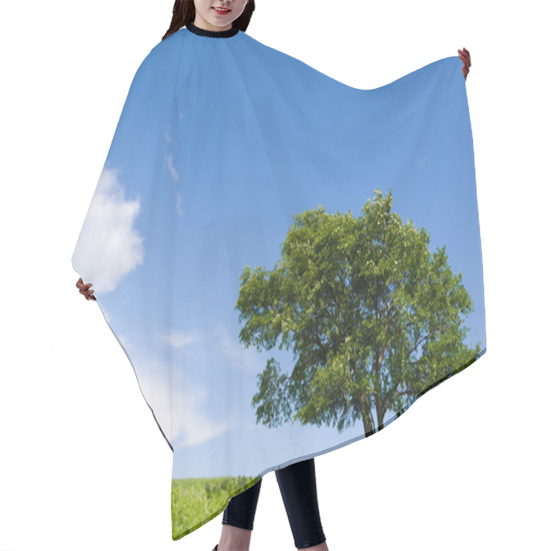 Personality  Lonely Tree - Oak Hair Cutting Cape