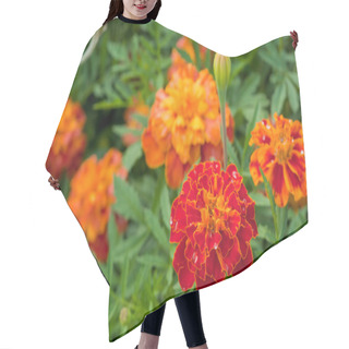 Personality  Marigold Close Up With Water Drops Hair Cutting Cape