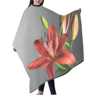 Personality  Beautiful Red Lily Flower Over Black Hair Cutting Cape