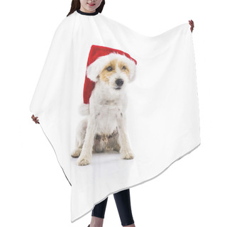 Personality  Russell Terrier Dog In Santa Hat Hair Cutting Cape