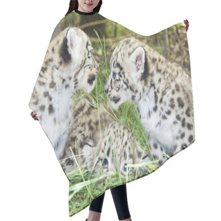 Personality  Snow Leopard Cubs Hair Cutting Cape