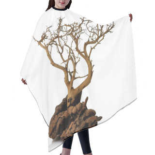 Personality  Dry Tree Hair Cutting Cape