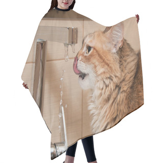 Personality  Cat Drinking Water In The Bathroom Hair Cutting Cape
