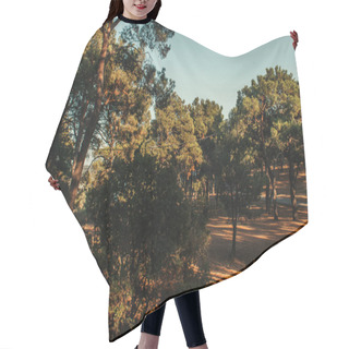 Personality  High Pine Trees Against Blue Sky In Sunny Weather Hair Cutting Cape