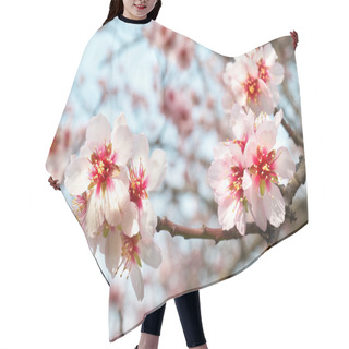 Personality  Almond Tree Pink Flowers. Hair Cutting Cape