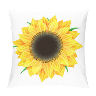 Personality  Vector Sunflower Isolated Pillow Covers
