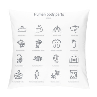 Personality  Set Of 16 Human Body Parts Concept Vector Line Icons Such As Hum Pillow Covers